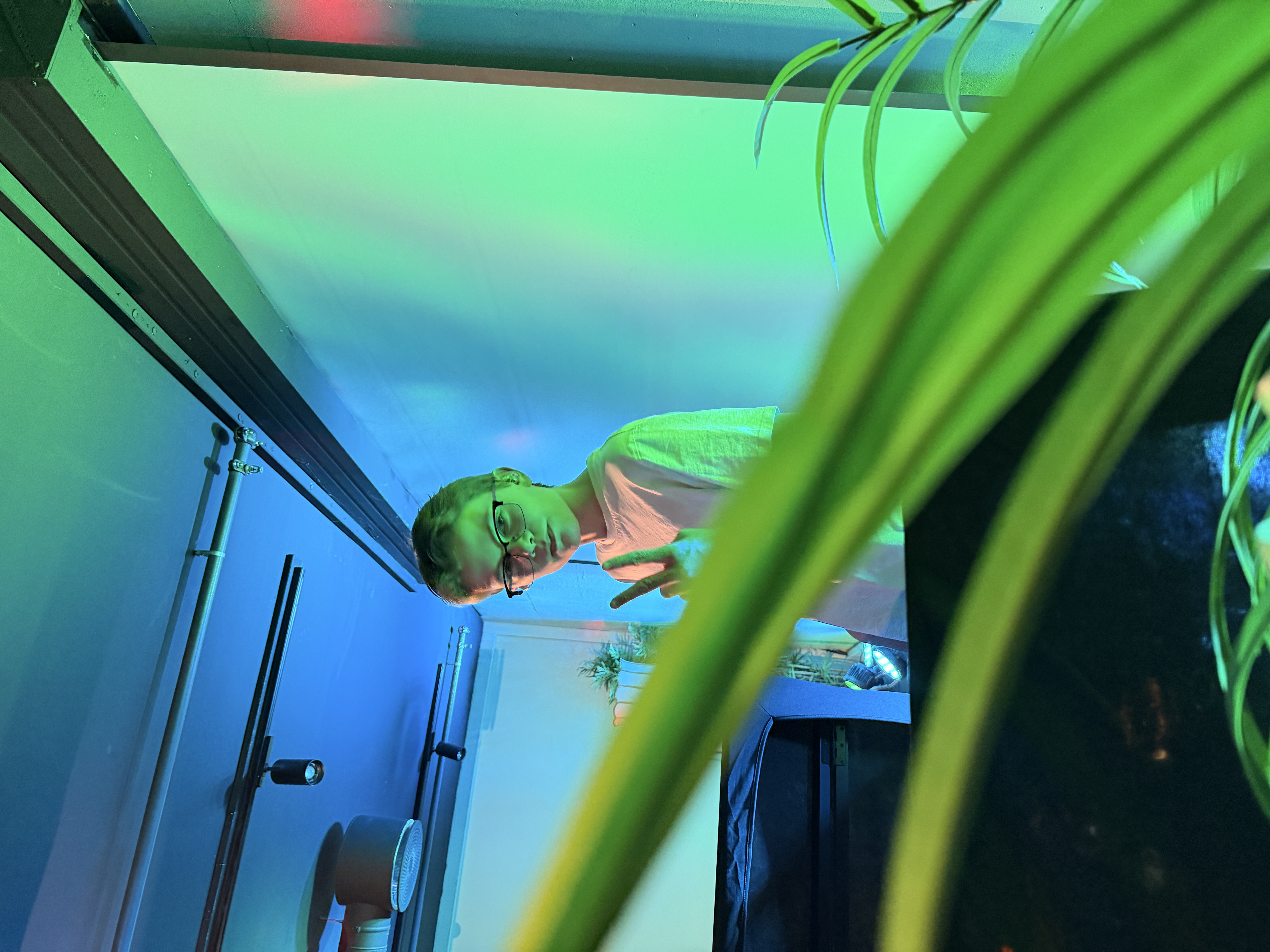 
                        <img src=